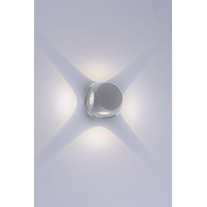 Paul Neuhaus 9485-21 - LED Sieninis lauko šviestuvas CARLO 4xLED/0,8W/230V IP54