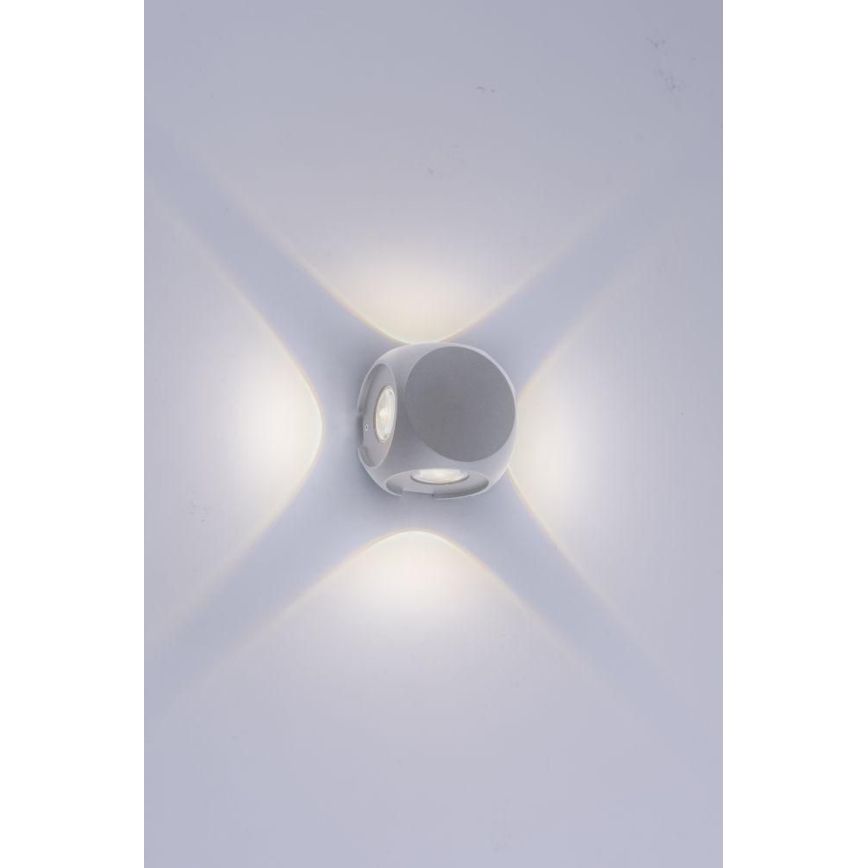 Paul Neuhaus 9485-21 - LED Sieninis lauko šviestuvas CARLO 4xLED/0,8W/230V IP54