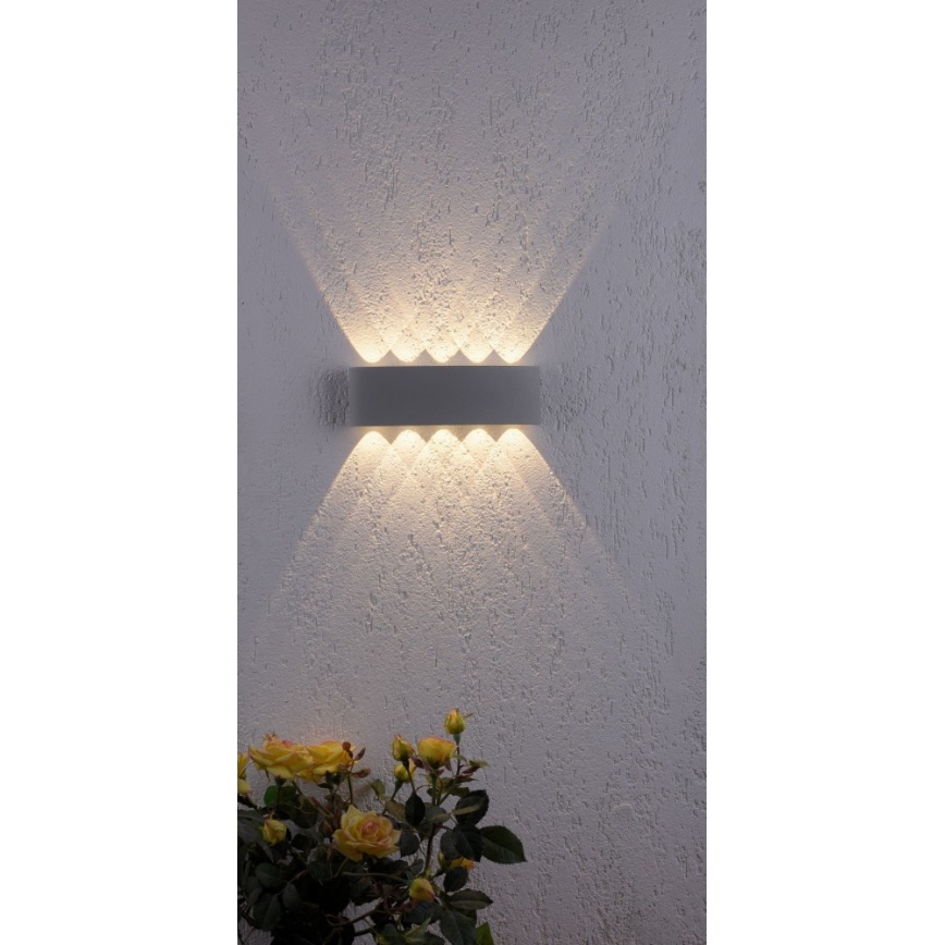Paul Neuhaus 9489-21- LED Lauko sieninis šviestuvas CARLO 10xLED/0,8W/230V IP54