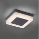 Paul Neuhaus 9491-13 - LED Lauko šviestuvas FABIAN LED/12,6W/230V IP54