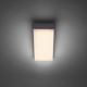 Paul Neuhaus 9495-13 - LED Sieninis lauko šviestuvas GWEN LED/9W/230V IP65