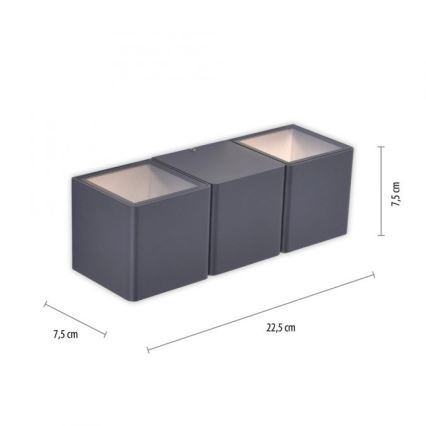 Paul Neuhaus 9658-13 - LED Sieninis lauko šviestuvas MARCEL 2xLED/4W/230V IP54