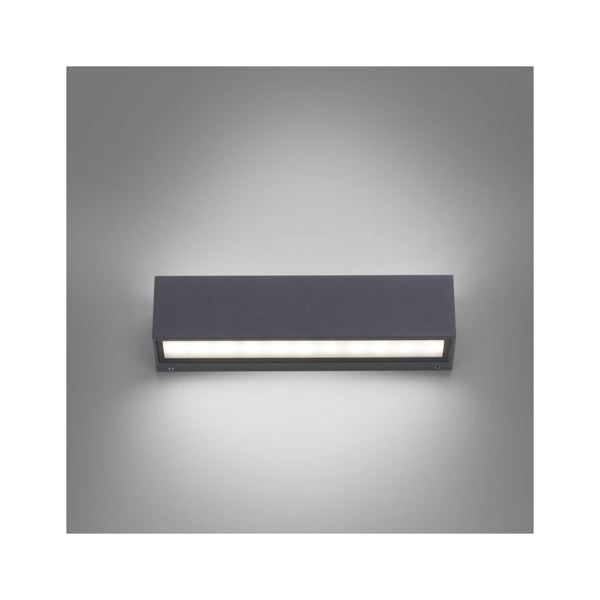 Paul Neuhaus 9675-13 - LED Sieninis lauko šviestuvas ROBERT 2xLED/9W/230V IP65