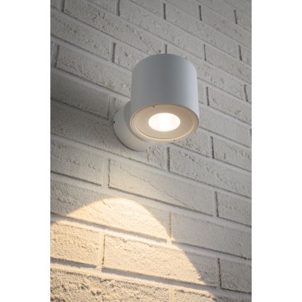 Paulmann 18007 - LED/5W IP44 Lauko sieninis šviestuvas FLAME 230V