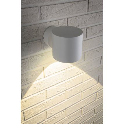 Paulmann 18007 - LED/5W IP44 Lauko sieninis šviestuvas FLAME 230V