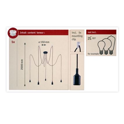 Paulmann 50389 - Pakabinamas sietynas NEORDIC 5xE27/20W/230V voras