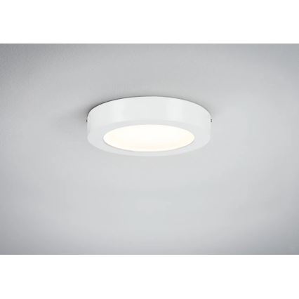 Paulmann 70642 - LED/12,5W Lubinis šviestuvas LUNAR 230V diametras 22,5 cm balta