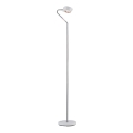 Paulmann 70920 - LED/7,5W Dimeriuojama grindinė lempa RAMOS 230V balta/blizgus chromas