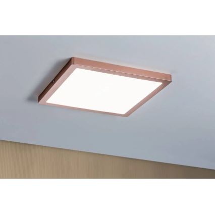Paulmann 70941 - LED/20W Tvirtinama panelė ATRIA 230V 4000K 30x30 cm Rožinis auksas