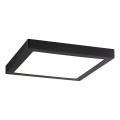 Paulmann 70984 - LED/22W Lubinis šviestuvas ABIA 230V