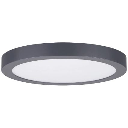 Paulmann 70988 - LED/22W Lubinis šviestuvas ABIA 230V antracitas