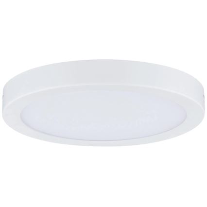 Paulmann 71021 - LED/22W Lubinis šviestuvas ABIA 230V baltas