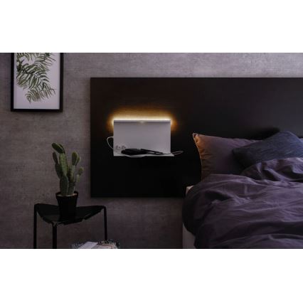 Paulmann 78919 - LED/4,5W Pritemdomas šviestuvas su lentyna ir USB + LED/1,6W 230V