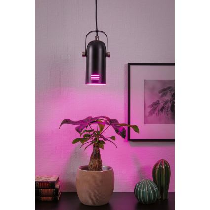 Paulmann 79766 - LED RGBW 1xE27/9W pakabinama liustra ant laido LAVEA 230V juoda