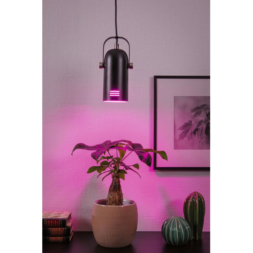 Paulmann 79766 - LED RGBW 1xE27/9W pakabinama liustra ant laido LAVEA 230V juoda
