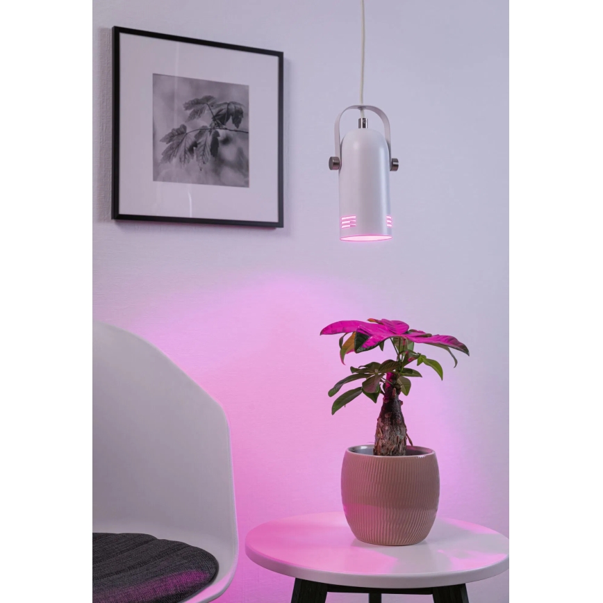 Paulmann 79767 - 1xE27/15W Pakabinama liustra LAVEA su laidu 230V balta