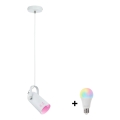 Paulmann 79767 - LED RGBW 1xE27/9W Pakabinamas šviestuvas su laidu LAVEA 230V baltas