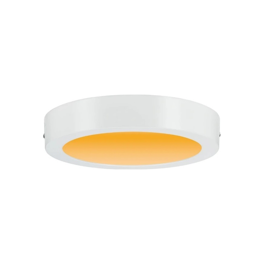 Paulmann 79795 – LED/13W Lubinis šviestuvas CARPO 230V 2300/2500/3000K