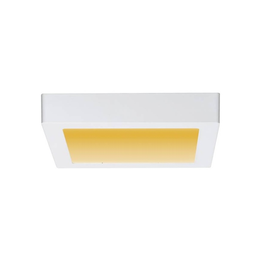 Paulmann 79796 - LED/13W Lubinis šviestuvas CARPO 230V 2300-3000K