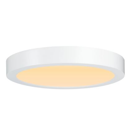 Paulmann 79799 - LED/19W Lubinis šviestuvas CARPO 230V 2300/2500/3000K