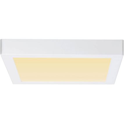 Paulmann 79801 - LED/13W Lubinis šviestuvas CARPO 230V 2300/2500/3000K