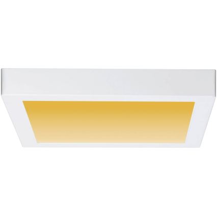 Paulmann 79801 - LED/13W Lubinis šviestuvas CARPO 230V 2300/2500/3000K