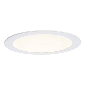 Paulmann 92034 - LED/14W Įleidžiamas šviestuvas 230V