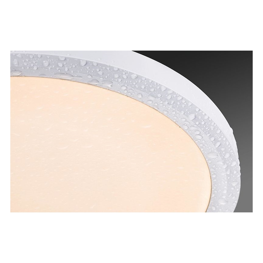 Paulmann 92801 - LED/9W IP65 Įleidžiamas vonios šviestuvas WARM DIM 230V 2000K/3000K/4000K