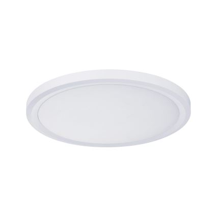 Paulmann 92801 - LED/9W IP65 Įleidžiamas vonios šviestuvas WARM DIM 230V 2000K/3000K/4000K