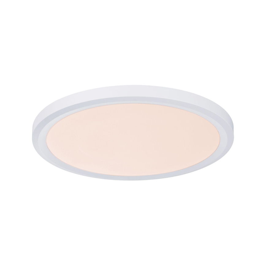 Paulmann 92801 - LED/9W IP65 Įleidžiamas vonios šviestuvas WARM DIM 230V 2000K/3000K/4000K