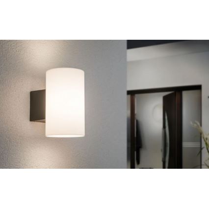 Paulmann 94186 - 1xE27/15W IP54 Lauko sieninis šviestuvas TUBE 230V