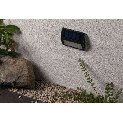 Paulmann 94234 - LED/0,05W IP44 Lauko šviestuvas, įkraunamas saulės energija su jutikliu DAYTON 1,2V 400 mAh
