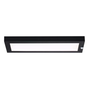 Paulmann 94256_1 - LED/10W IP44 Lauko lubinis šviestuvas su jutikliu 230V