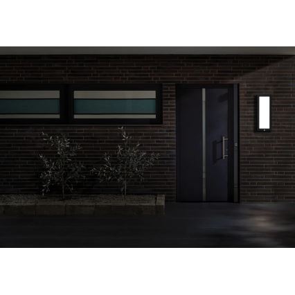 Paulmann 94256_1 - LED/10W IP44 Lauko lubinis šviestuvas su jutikliu 230V