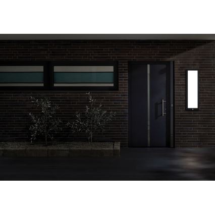 Paulmann 94257_1 - LED/19W IP44 Lauko lubinis šviestuvas su jutikliu 230V