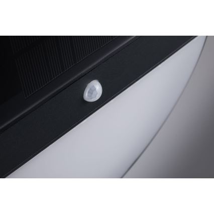 Paulmann 94264 - LED/1W IP44 Lauko saulės energijos šviestuvas su jutikliu ELOISE 3,7V