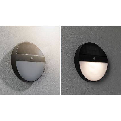 Paulmann 94264 - LED/1W IP44 Lauko saulės energijos šviestuvas su jutikliu ELOISE 3,7V