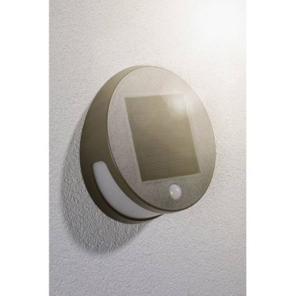 Paulmann 94265 - LED/3W IP44 Lauko šviestuvas, įkraunamas saulės energija su jutikliu HELENA 3,7V 1800 mAh