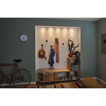 Paulmann 94304 - LED/4W IP44 Įleidžiamas vonios šviestuvas COIN 230V