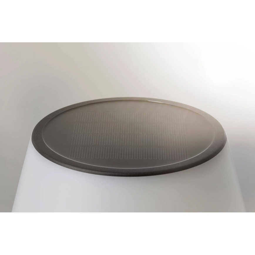 Paulmann 94309 - LED/0,8W IP44 Pritemdomas saulės lempa LILLESOL 3,7V 2000 mAh