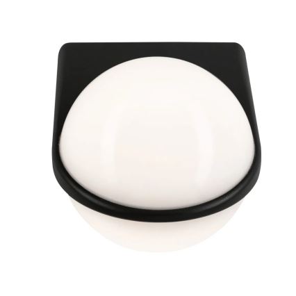 Paulmann 94401 - LED/10W IP44 Lauko sieninis šviestuvas rutulys 230V