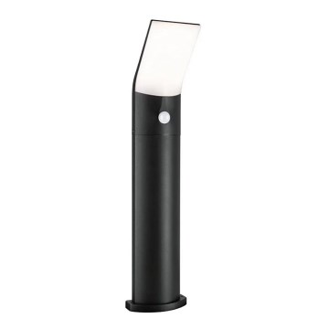 Paulmann 94403 - LED/10W IP44 Lauko šviestuvas su ADYA jutikliu 230V