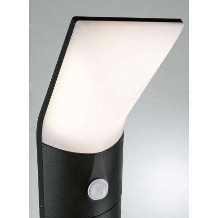 Paulmann 94403 - LED/10W IP44 Lauko šviestuvas su ADYA jutikliu 230V