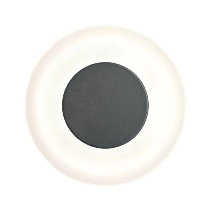 Paulmann 94409 - LED/4W IP44 Lauko sieninis šviestuvas CIRCEA 230V