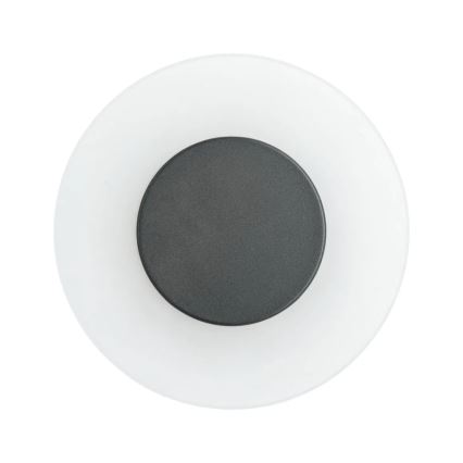 Paulmann 94409 - LED/4W IP44 Lauko sieninis šviestuvas CIRCEA 230V
