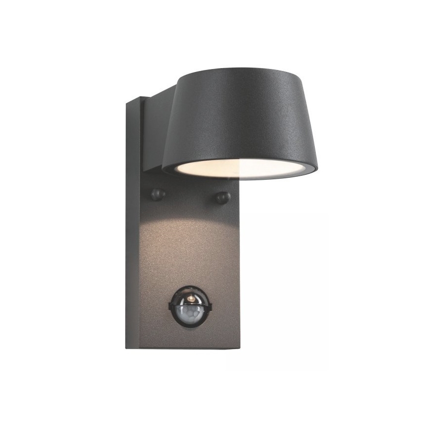 Paulmann 94453 - LED/6W IP44 Lauko sieninis šviestuvas su jutikliu CAPEA 230V