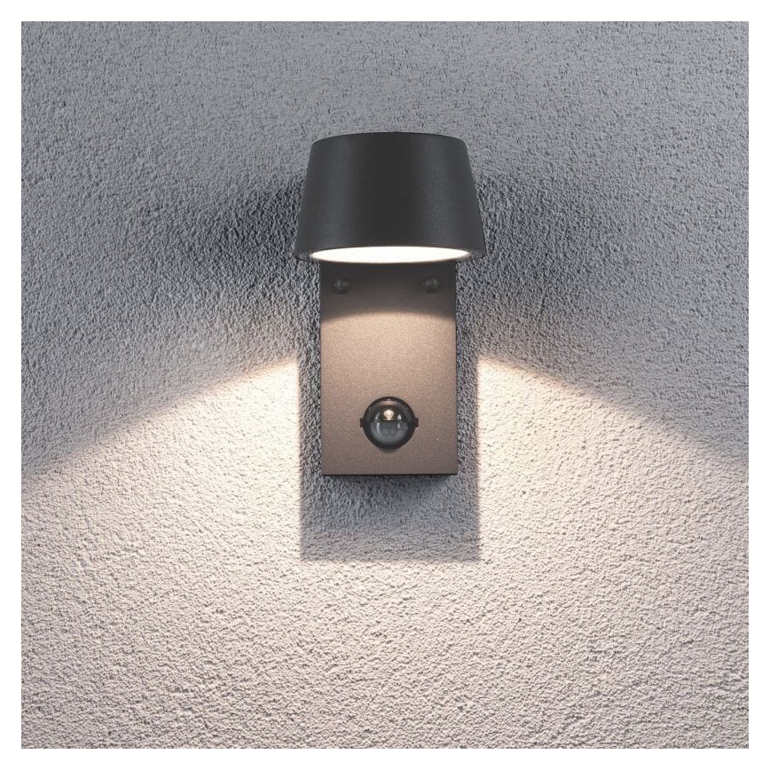 Paulmann 94453 - LED/6W IP44 Lauko sieninis šviestuvas su jutikliu CAPEA 230V