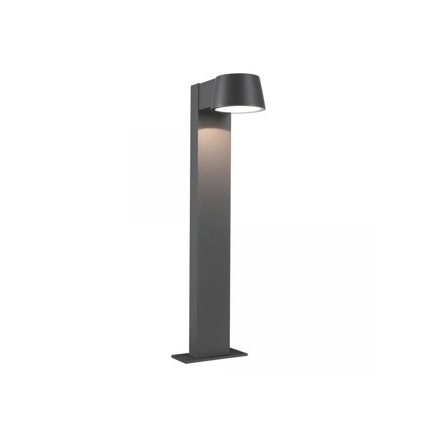 Paulmann 94454 - LED/6W IP44 Lauko šviestuvas CAPEA 230V