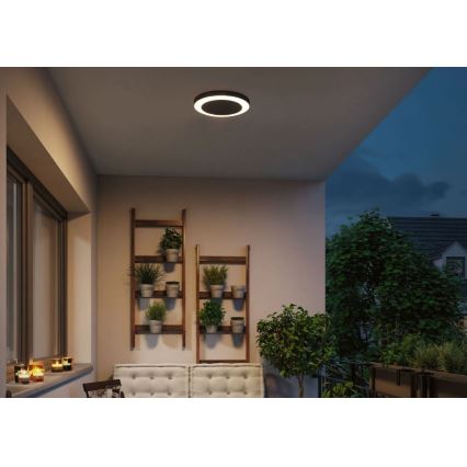Paulmann 94526 - LED/14W IP44 Lauko lubinis šviestuvas su jutikliu CIRCULA 230V