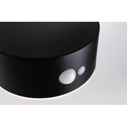 Paulmann 94570 - LED/5,5W IP44 Saulės energija įkraunamas sieninis šviestuvas su jutikliu EILEEN 3,7V 2000 mAh